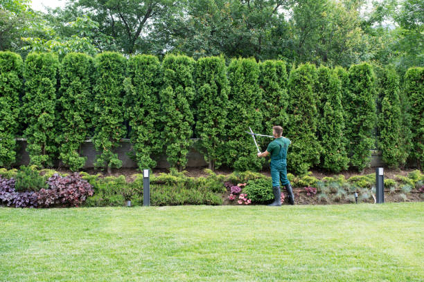 Best Hedge Trimming  in Mickleton, NJ