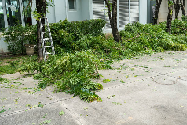 Best Tree Trimming and Pruning  in Mickleton, NJ