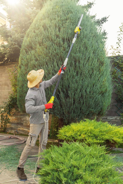 Best Weed Control  in Mickleton, NJ